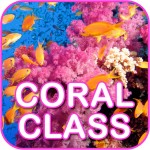 Coral Class