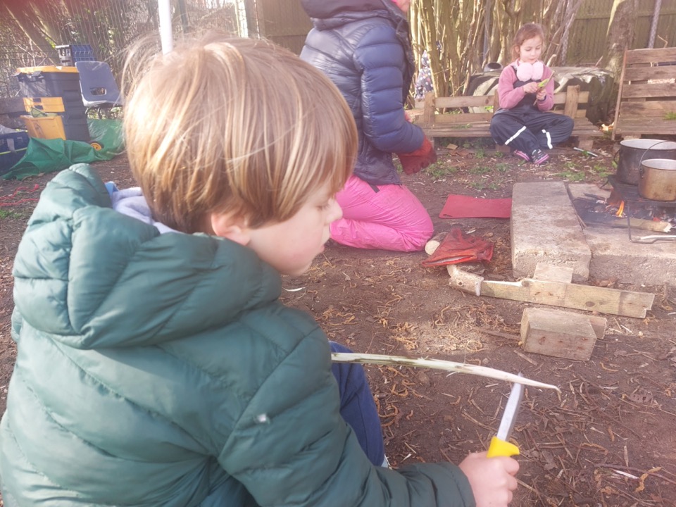 Year 2 Forest Schools